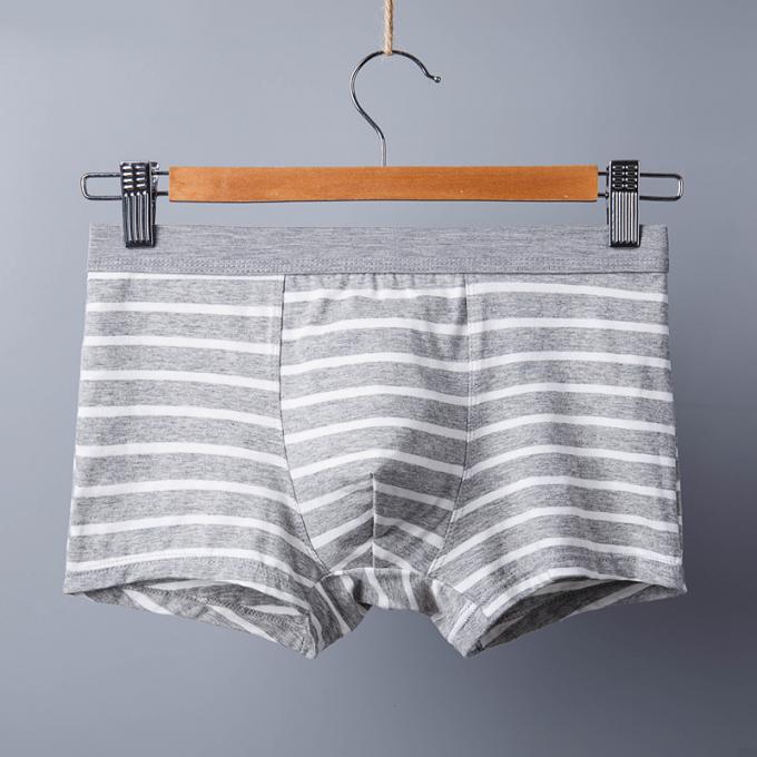 Mann-Unterwäsche-streifen sexy reine Baumwollmemorandum-Erwachsene XXXL 165kg 95kg Baumwollsport 5