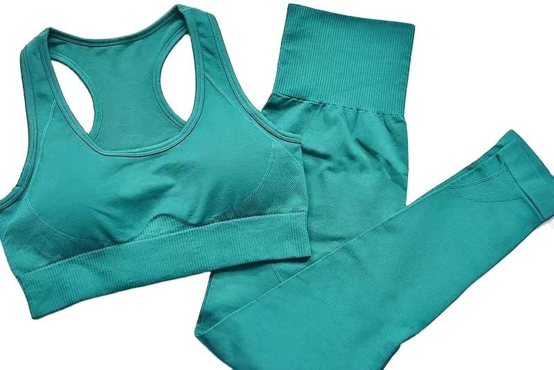 Ausbildungsgamaschen der klagen-Polyester-weibliche Sport-BH-S M L High Waist Fitness