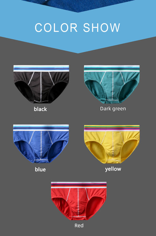 Die Boxershorts-Bikini-unerfahrenen Mitarbeiter der gekämmten Männer reine Unterwäsche der sexy Baumwoll